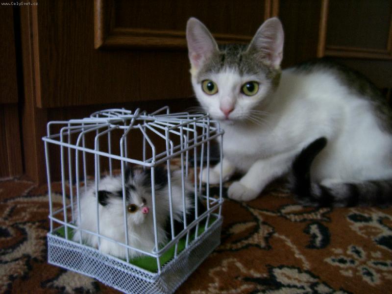 Foto: nov� kamar�dka-Betynka m� novou kamar�dku
