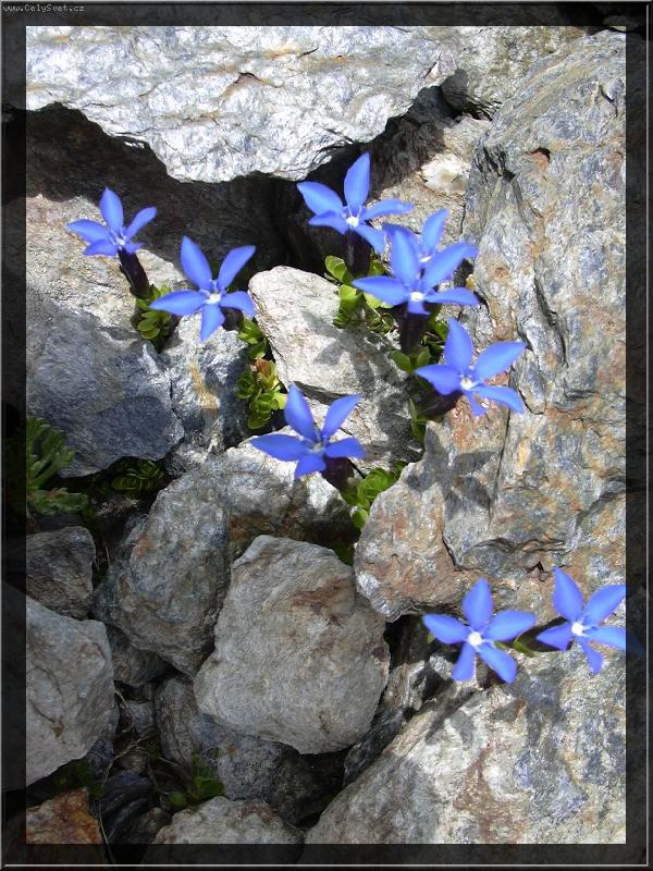 Foto: Ho�ec jarn�