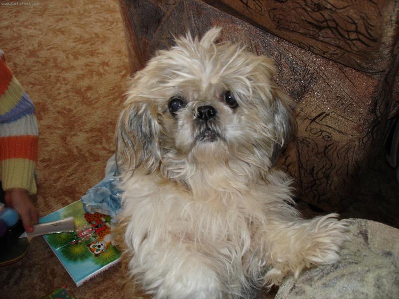 Foto: Dane�ek-vylet� pt��ek usm�vat se