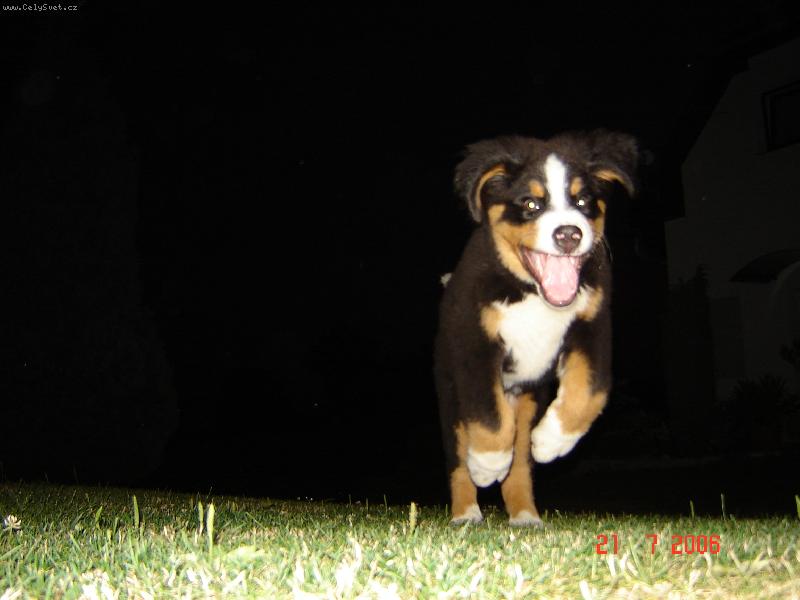 Foto: N� mil��ek :)-Ut�kej nebo t� chytim!!!