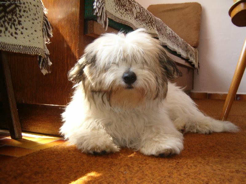 Foto: Pro� m� bud�te?-Don