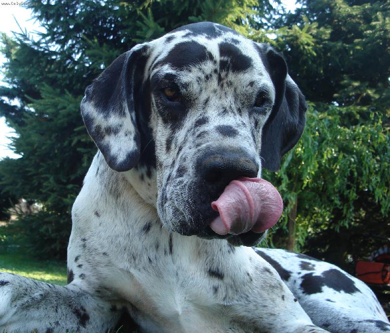 Foto: To byla ba�ta!