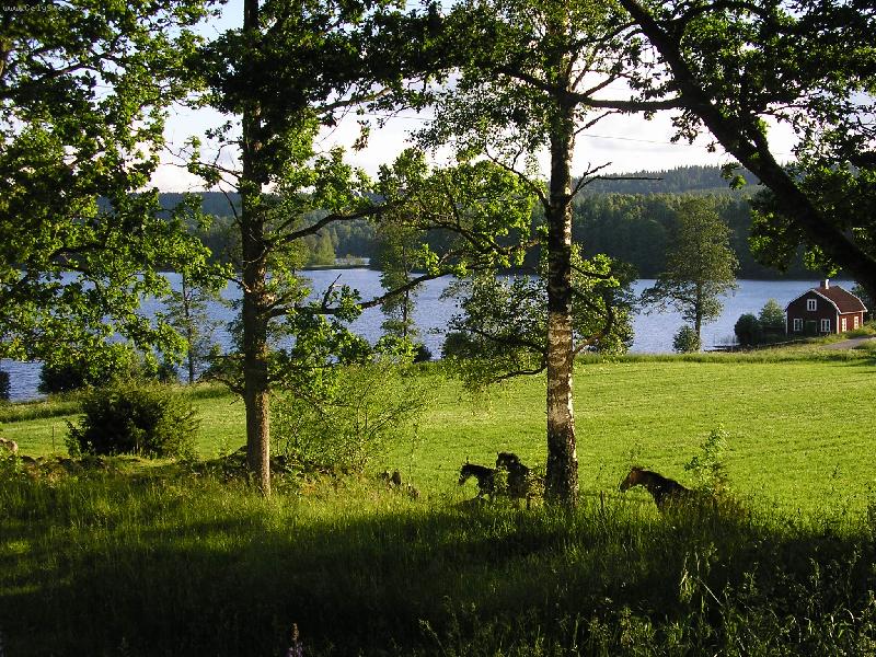 Foto: �v�dsk� krajina