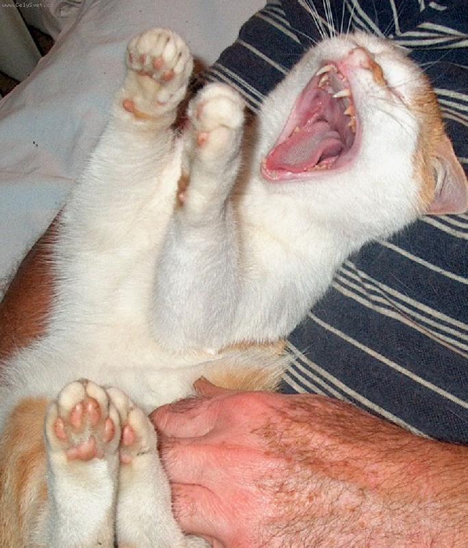 Foto: J�����,to je blaho