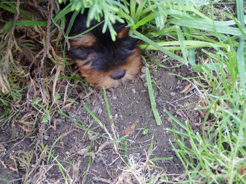 Foto: Filip-T�eba m� pani�ka nenajde?