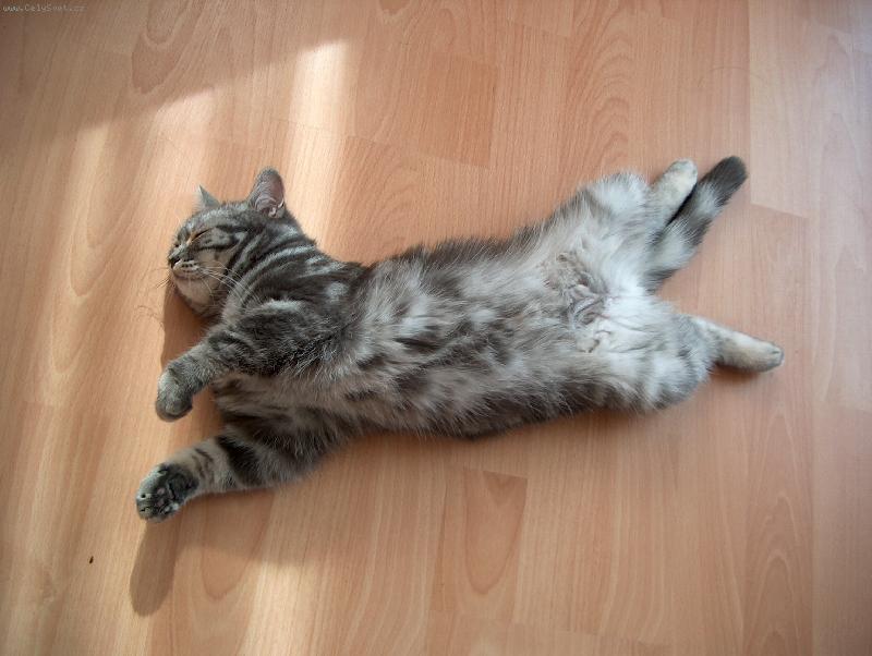 Foto: Zaslou�en� odpo�inek-D�da