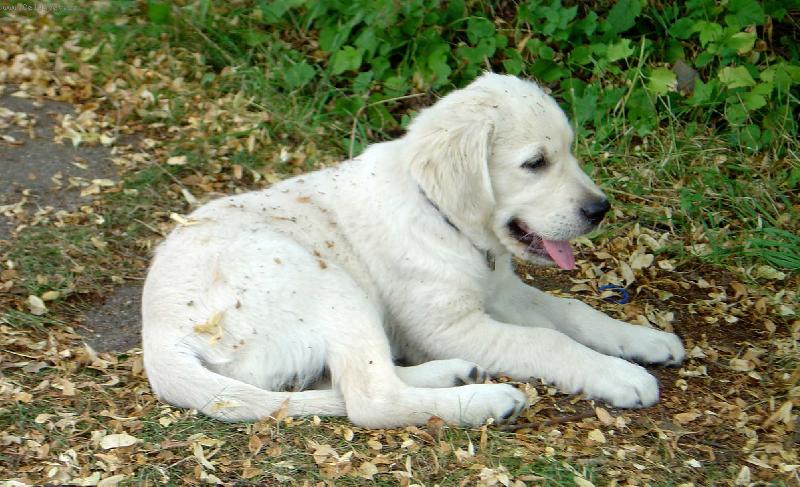 Foto: Bronwynka-Odpo�inek