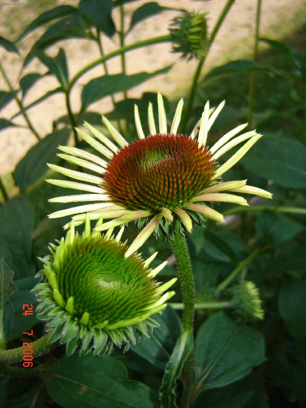 Foto: Jsme jak dv� dvoj��tka! :)