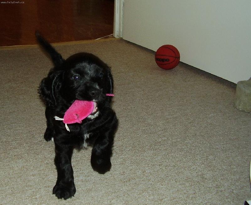 Foto: Lovec my��