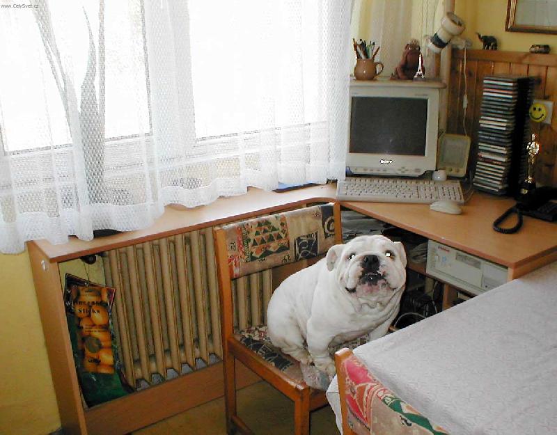 Foto: J� v�m �e sem nesm�m...ale odtud je l�p vid�t !!!