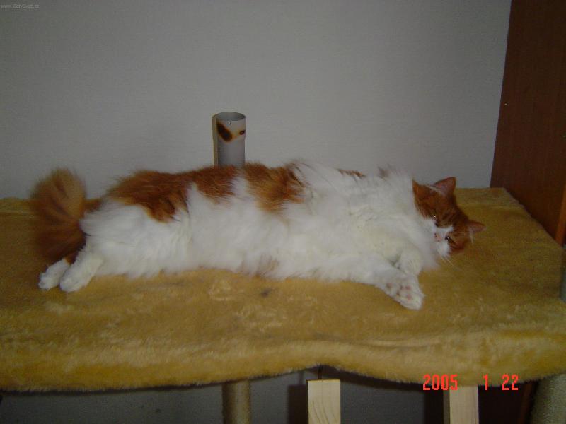 Foto: Max��ek-:) to je m�j kr�snej Maxik..