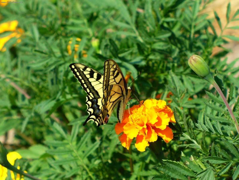 Foto: Ot�k-dalo to fu�ku, ale je tam!