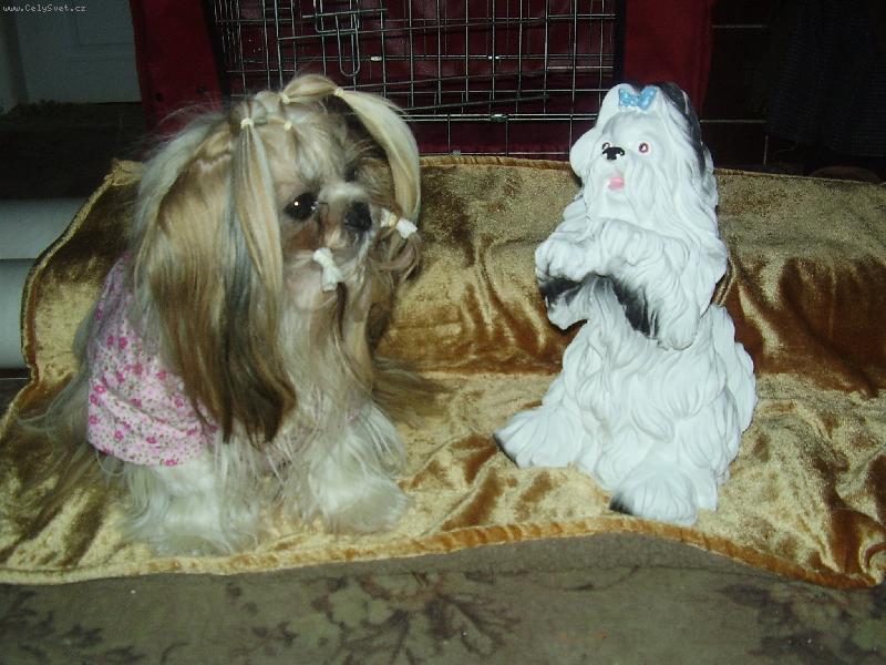 Foto: Pro� se mnou nemluv�?