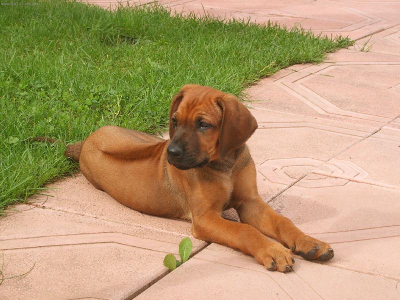 Foto: Sally-�t�n�