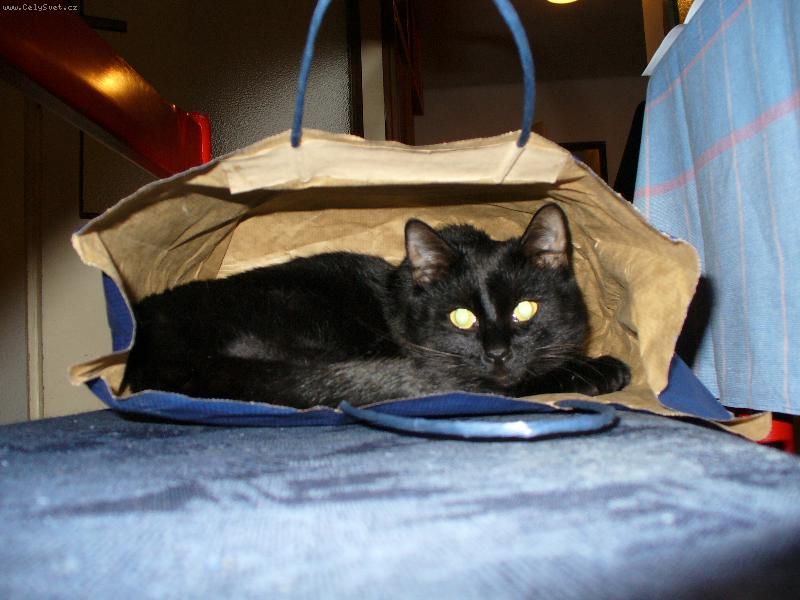 Foto: �e m� nenajde�!