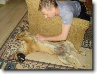 Leh�ro po ob�d�