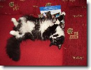 V�len�, to je moje :-)