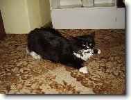 Doba p��en� je nejlep��