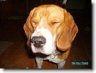 �o to bolo?! Blesk?!