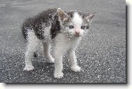 To jsem ale velk�!!!