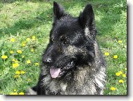 Dneska odpo��v�m