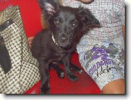 M�j mil��ek Ben����ek