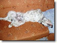 kone�n� pohodl�