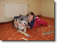 Pokl�d�n� koberce