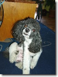 Drbu se ani nev�m jak ...