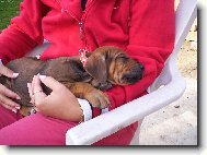 Mon ch�ri - m�j mil��ek