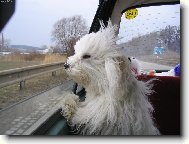 n� mal� cestovatel