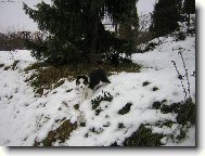 Kdy� byl Beauty miminko