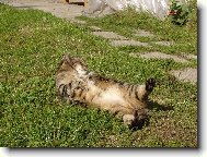 Rozcvi�ka nebo o�ista?