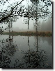 U �eky Ne��rky