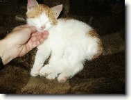 Drb�n�,to je moje=0)