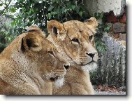 ohodno�te pros�m!!