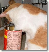 S�m si va��m...