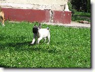 L�taj�c� Johny:-)