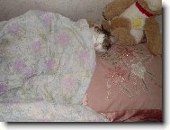 "Tady se mi kr�sn� spink�".