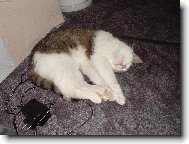 "Kdy� se unav�m,usnu v�ude."