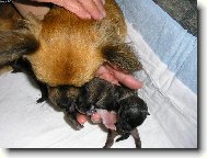 Deset minut na sv�t� !