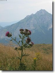 Kr�sn� vzhled je na ten bo�� sv�t...2