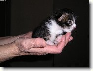 A to m�m m�t 10 kilo !!!