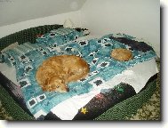 a kde budu sp�t j�??