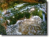 Pot��ek Bublav�