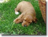 sp�nek p�ed odpo�inkem