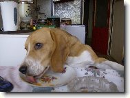 je�t� p�idat prosim