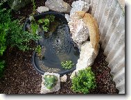 ty rybi�ky stejn� vylov�m