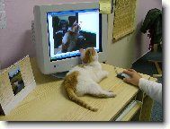 R�da na sebe kouk�m...