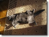 Unaven�,ale spokojen�.